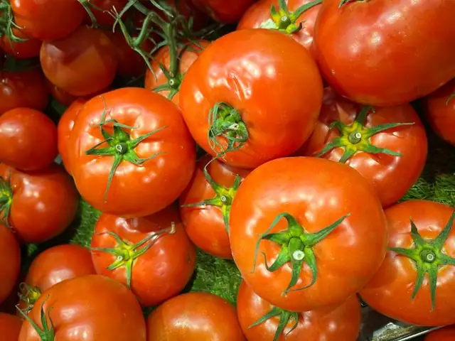 tomato — photo